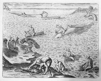 Metodo di caccia alla balena degli indiani americani, da un resoconto di Jose de Acosta, da 
